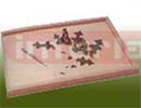 DISSCETING BOARDS